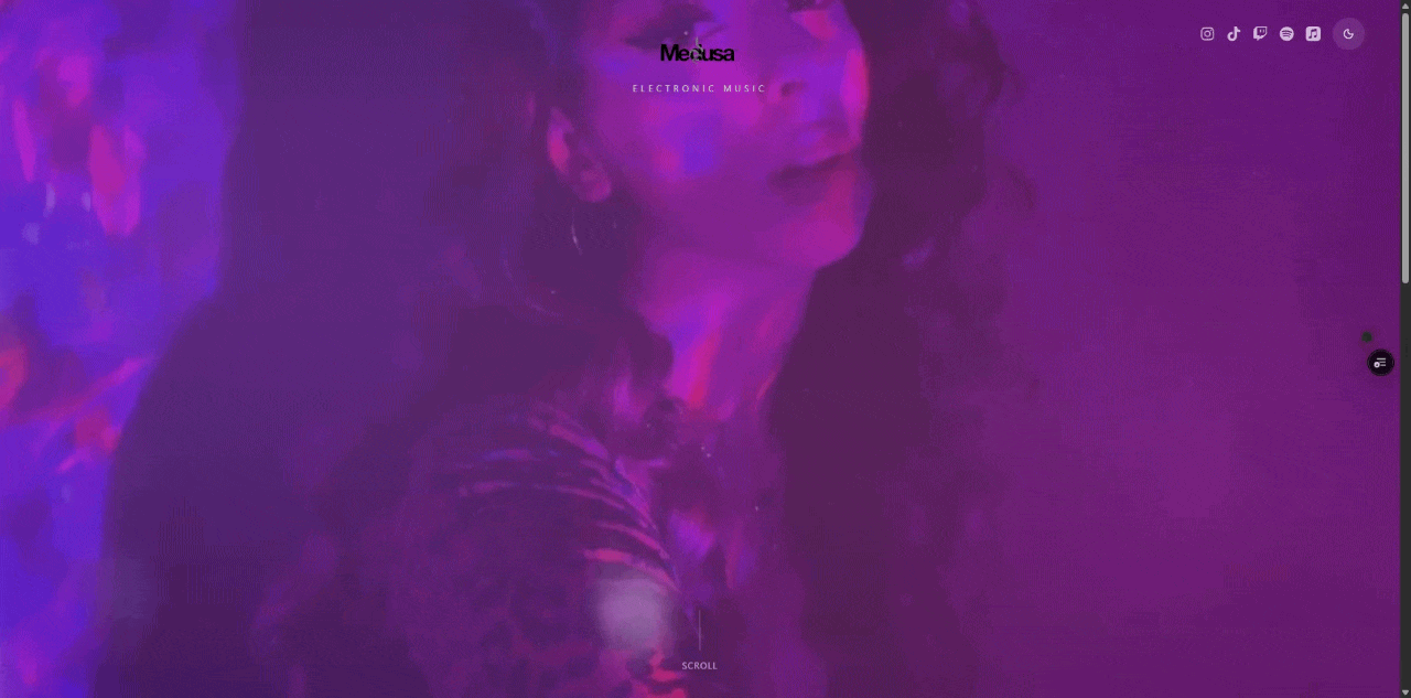 Medusa Artist Portfolio